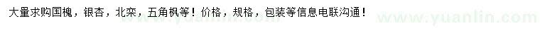 求購國槐、銀杏、北欒等