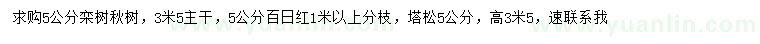 求購5公分欒樹、楸樹