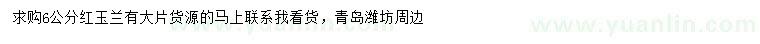 求購6公分紅玉蘭