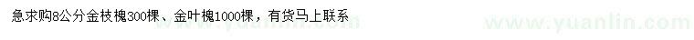 求購(gòu)8公分金枝槐、金葉槐