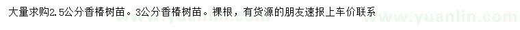 求購2.5、3公分香椿
