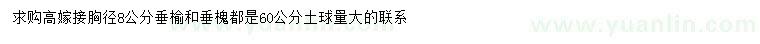 求購胸徑8公分垂榆、垂槐