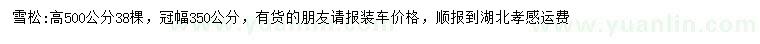 求購高500公分雪松