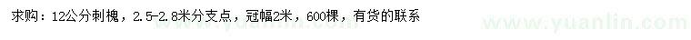 求購12公分刺槐