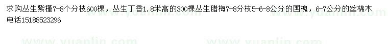 求購叢生紫槿、丁香、臘梅