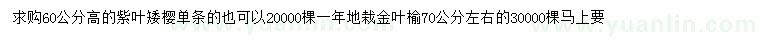 求購(gòu)高60公分紫葉矮櫻、70公分金葉榆