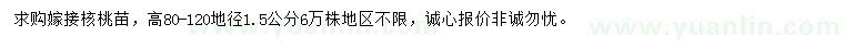 求購地徑1.5公分嫁接核桃苗