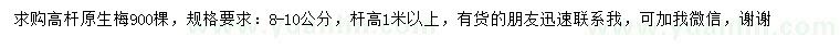 求購8-10公分高桿原生梅