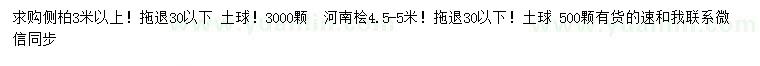 求購3米以上側(cè)柏、4.5-5米河南檜