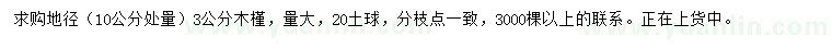 求購10公分處量地徑3公分木槿