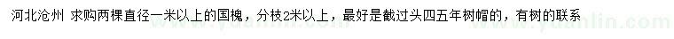 求購直徑1米以上國槐