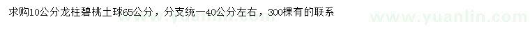 求購10公分龍柱碧桃