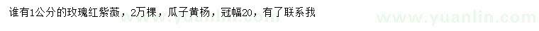 求購(gòu)1公分玫瑰紅紫薇、瓜子黃楊