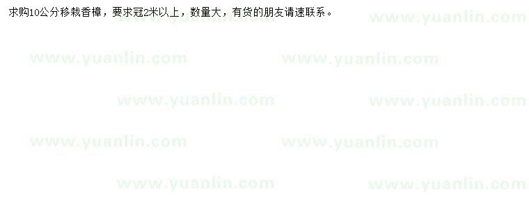 求購(gòu)10公分香樟