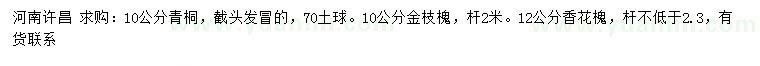 求購青桐、金枝槐、香花槐
