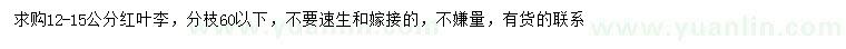求購(gòu)12-15公分紅葉李