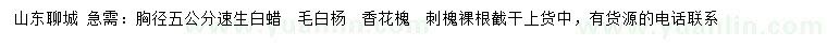 求購速生白蠟、毛白楊、香花槐等