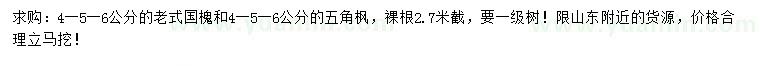 求購4-5-6公分老式國槐、五角楓