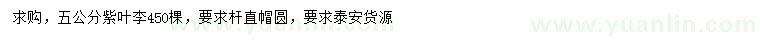 求購(gòu)5公分紫葉李