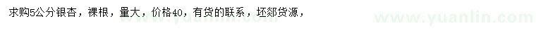 求購5公分銀杏
