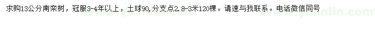 求購13公分南欒