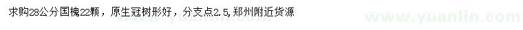求購28公分國槐