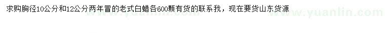 求購胸徑10、12公分白蠟