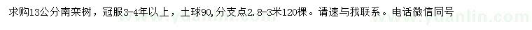 求購13公分南欒樹