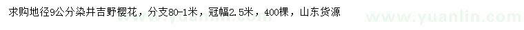 求購(gòu)地徑9公分染井吉野櫻花
