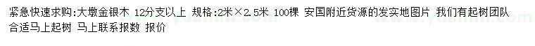 求購2*2.5米大墩金銀木