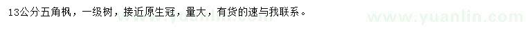 求購13公分五角楓