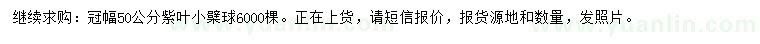 求購冠幅50公分紫葉小檗球
