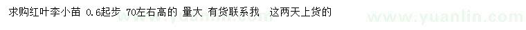 求購0.6公分以上紅葉李小苗