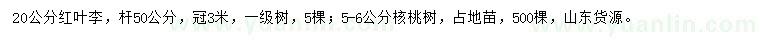 求購(gòu)20公分紅葉李、5-6公分核桃樹