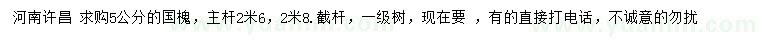 求購5公分的國槐