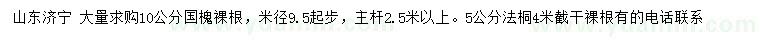 求購10公分國槐、5公分法桐