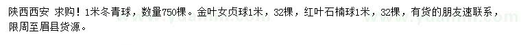 求購冬青球、金葉女貞球、紅葉石楠球