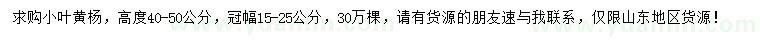 求購高40-50公分小葉黃楊
