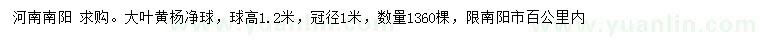 求購球高1.2米大葉黃楊凈球