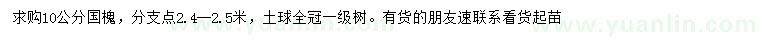 求購10公分國槐