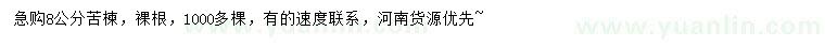 求購8公分苦楝