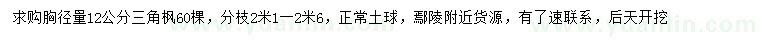 求購胸徑量12公分三角楓