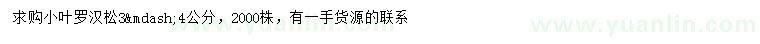 求購3-4公分小葉羅漢松