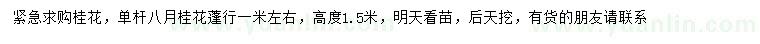 求購高度1.5米桂花
