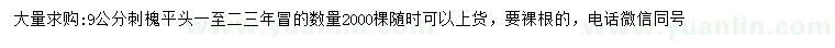 求購9公分刺槐
