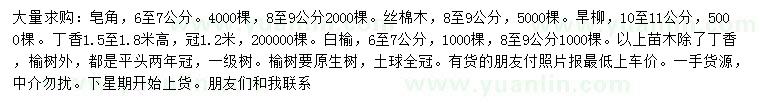 求購皂角、絲棉木、旱柳等