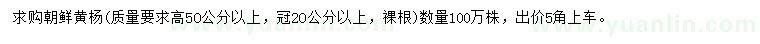 求購高50公分以上朝鮮黃楊