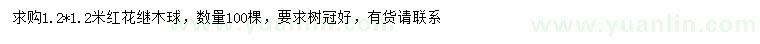 求購1.2*1.2米紅花繼木球