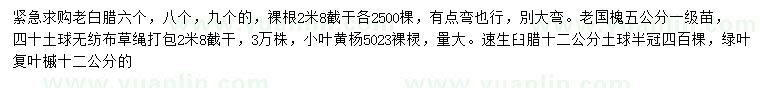求購老白臘、老國槐、小葉黃楊等