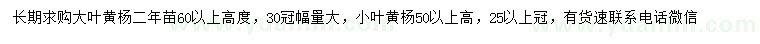 求購(gòu)高60公分以上大葉黃楊、高50公分以上小葉黃楊